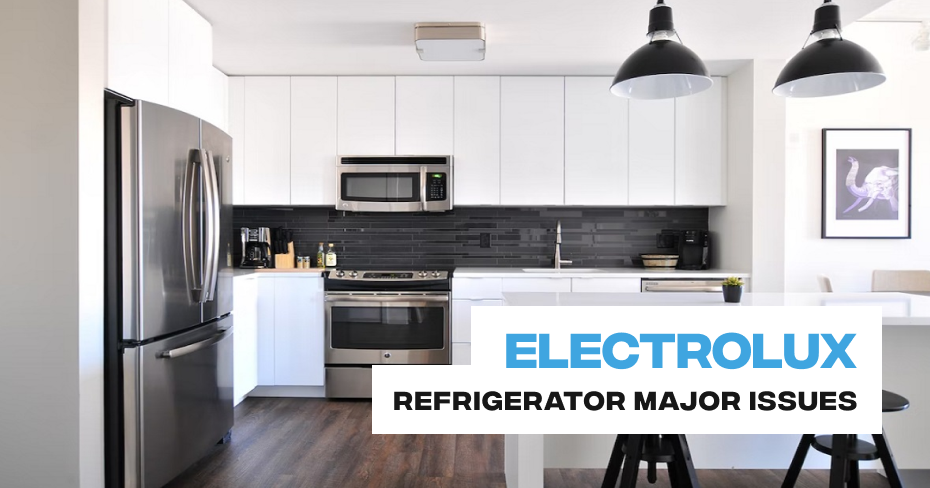 Electrolux Refrigerator ice maker overflowing