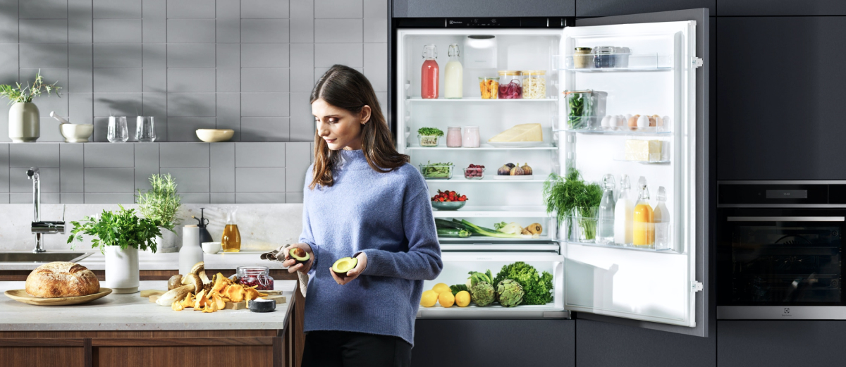 Electrolux Refrigerator Repair